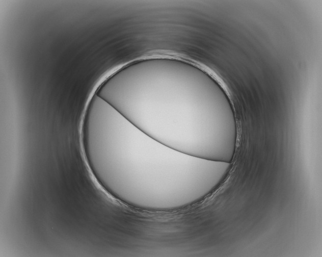 X0000116341003200912011014