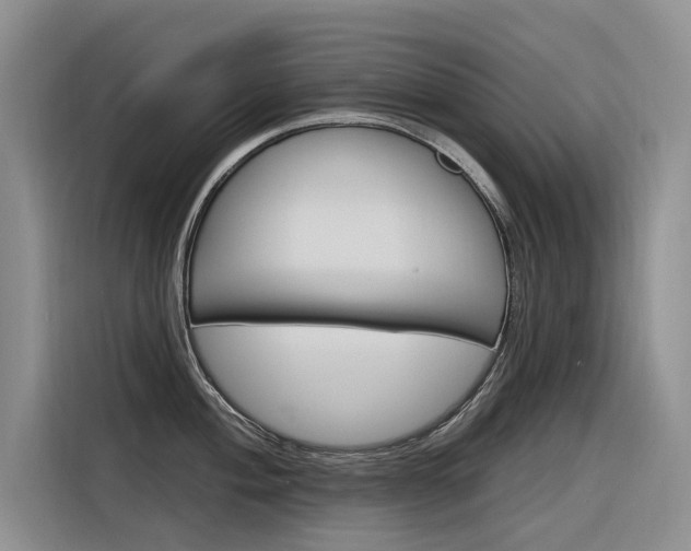 X0000116341004200912011014