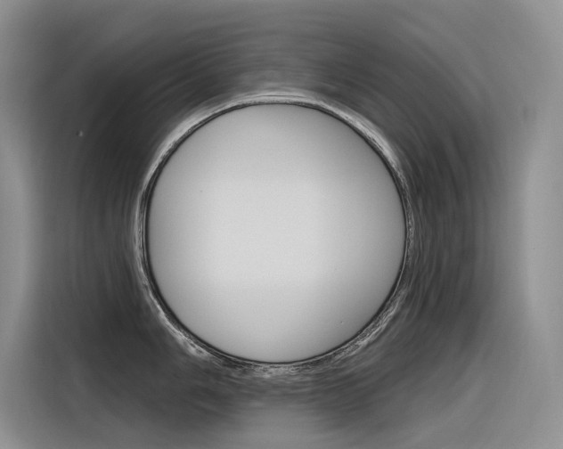 X0000116341006200912011014
