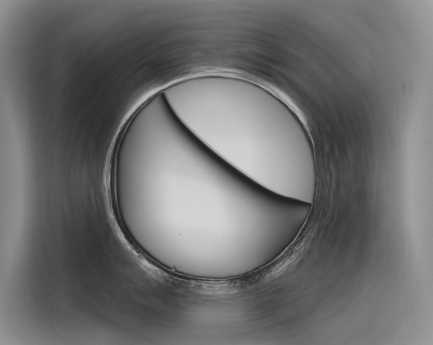 X0000116341007200912011014