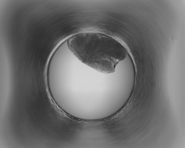 X0000116341008200912011014