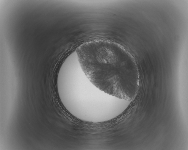 X0000116341009200912011014