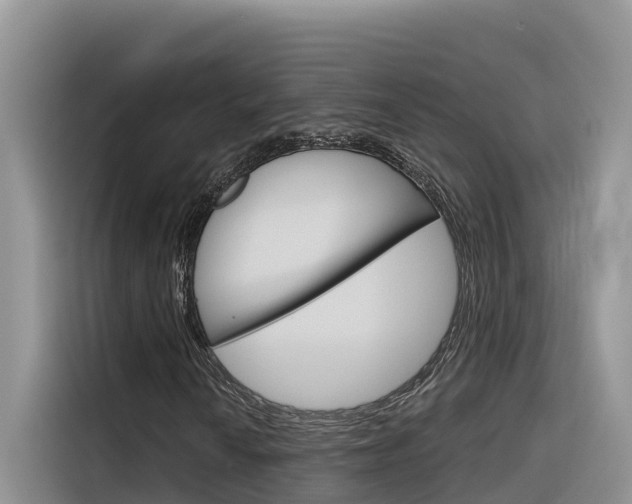 X0000116341010200912011014