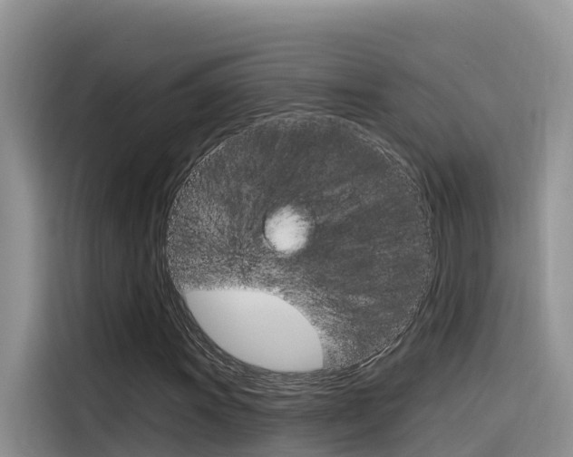 X0000116341011200912011014