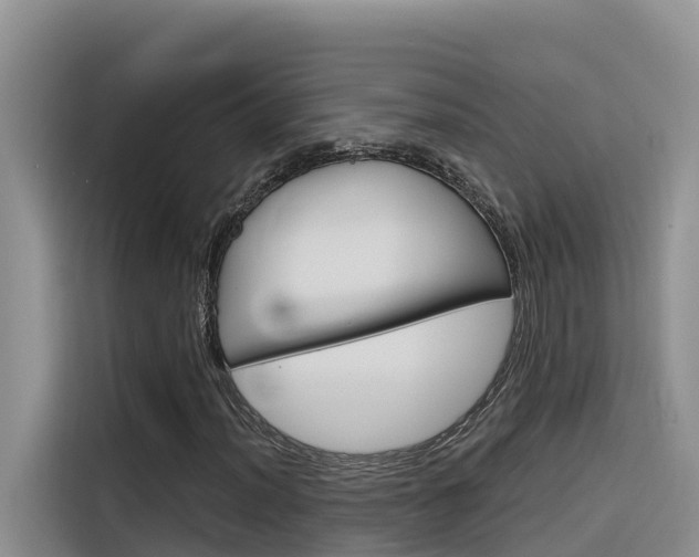 X0000116341012200912011014