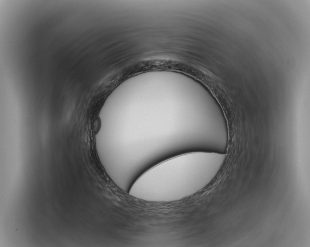 X0000116341014200912011014