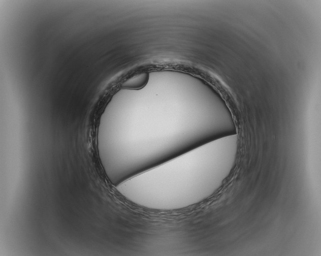 X0000116341016200912011014