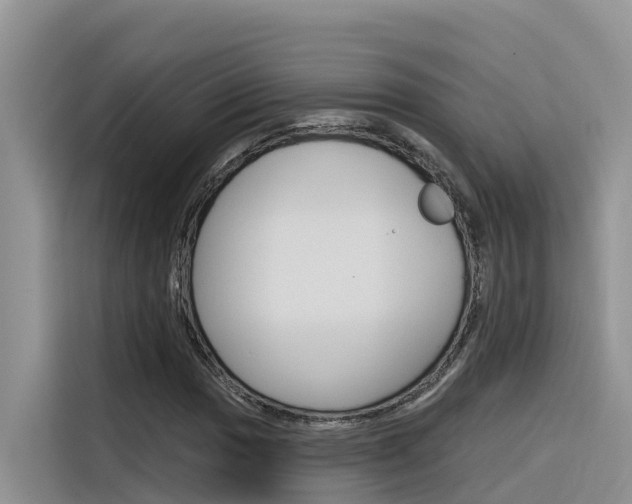 X0000116341017200912011014