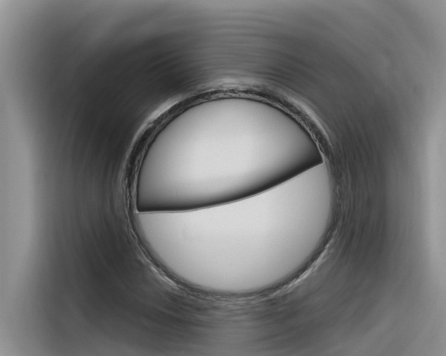 X0000116341018200912011014