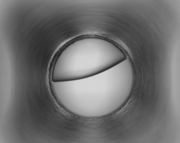 X0000116341020200912011014