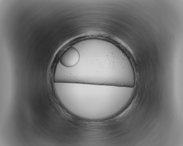 X0000116341021200912011014