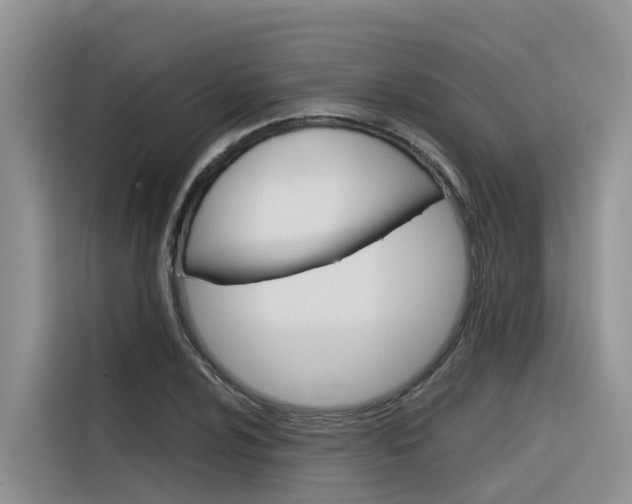 X0000116341024200912011014