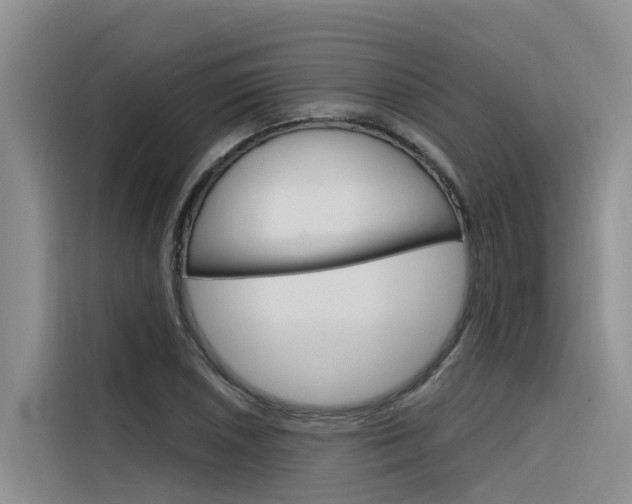 X0000116341026200912011014