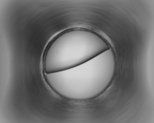 X0000116341028200912011014