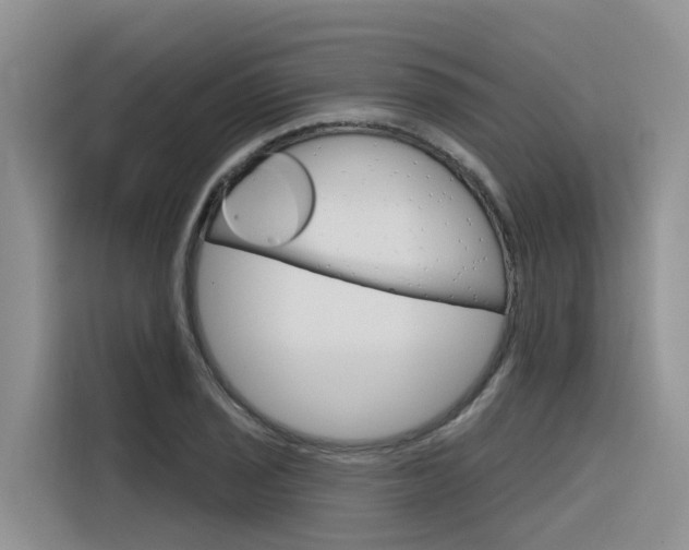 X0000116341029200912011014