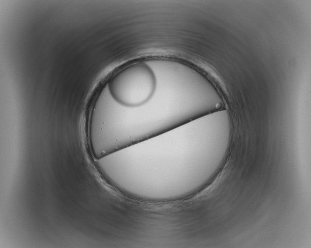 X0000116341030200912011014