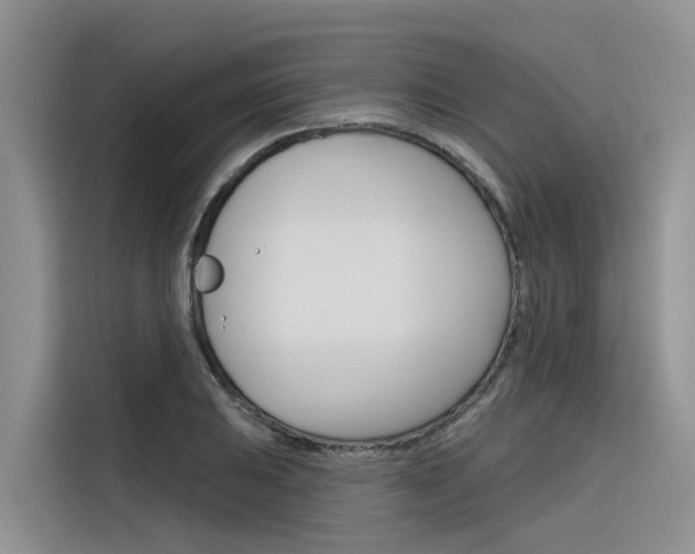 X0000116341031200912011014