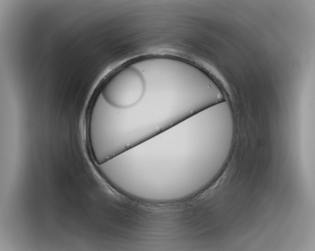 X0000116341032200912011014