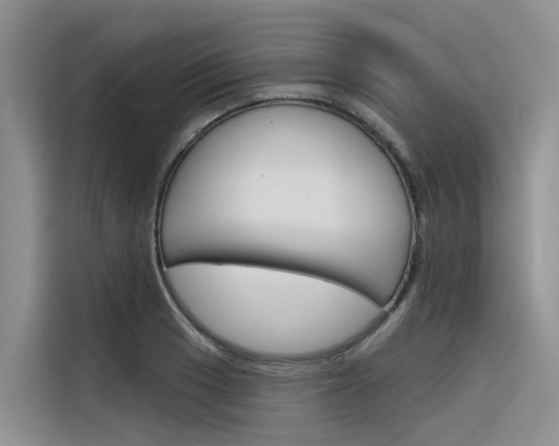 X0000116341033200912011014