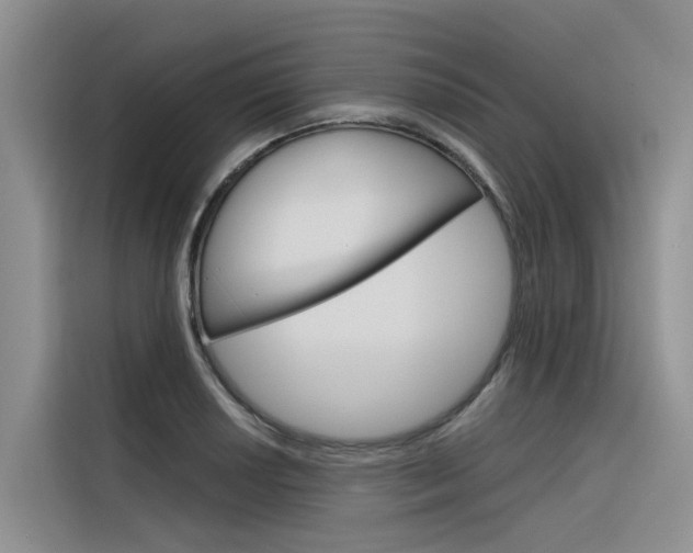 X0000116341034200912011014