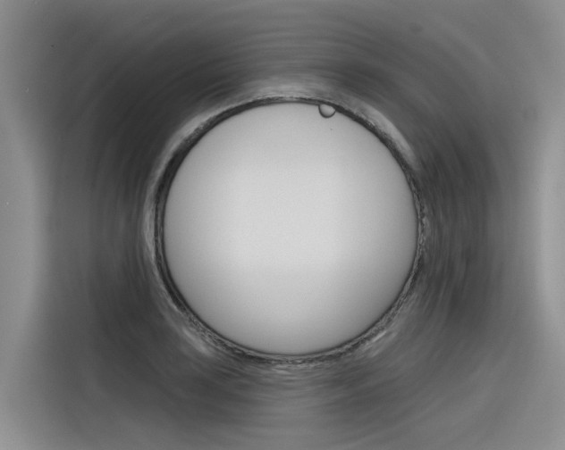 X0000116341035200912011014
