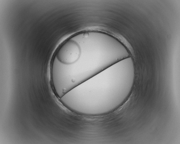 X0000116341036200912011014