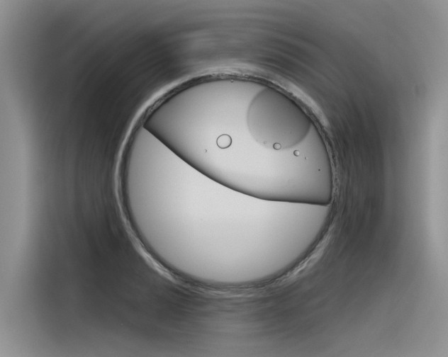 X0000116341037200912011014
