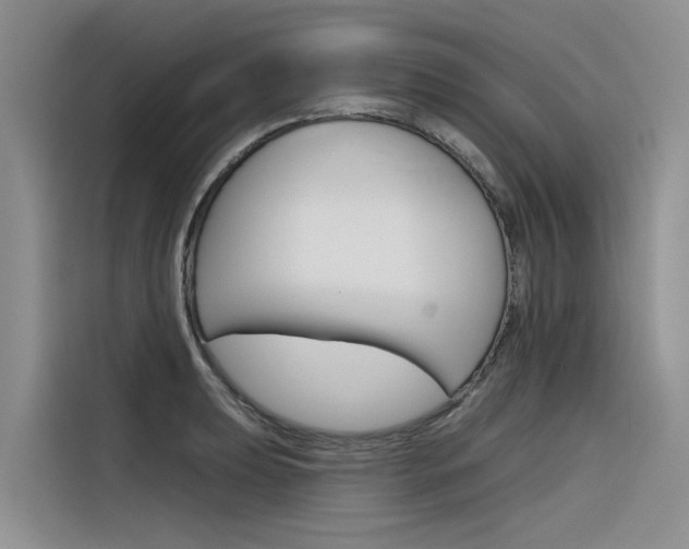 X0000116341039200912011014