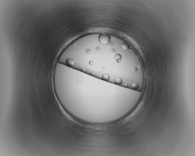 X0000116341041200912011014