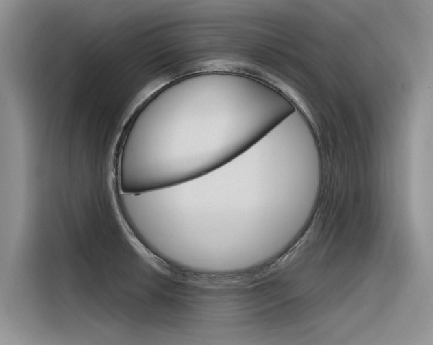 X0000116341042200912011014