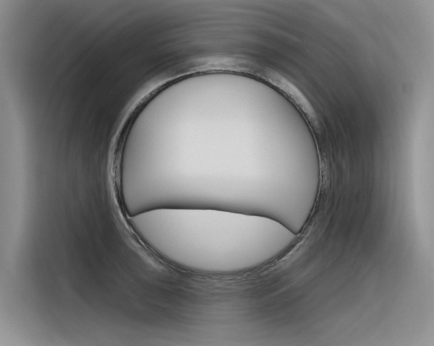 X0000116341043200912011014