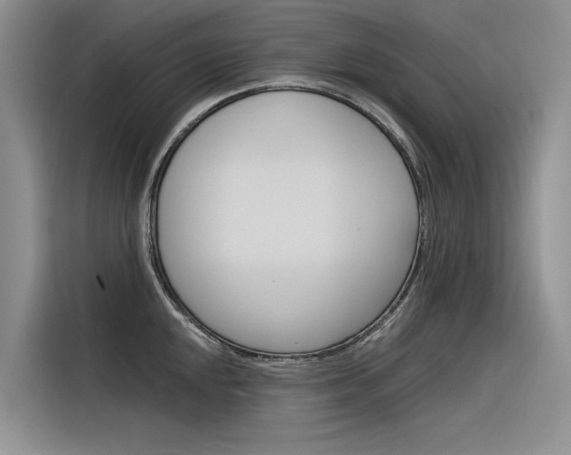 X0000116341048200912011014