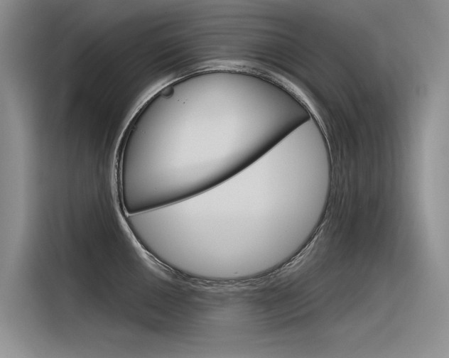 X0000116341050200912011014