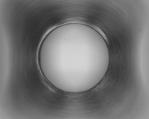X0000116341051200912011014