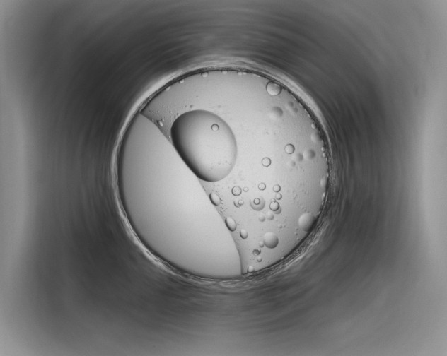 X0000116341053200912011014