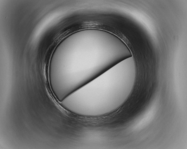 X0000116341054200912011014