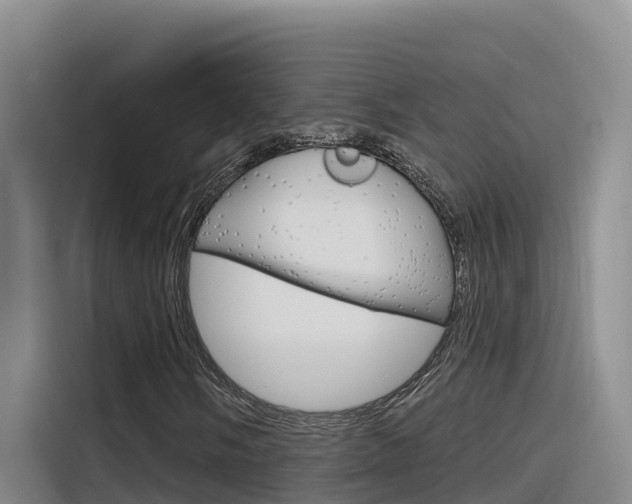 X0000116341058200912011014