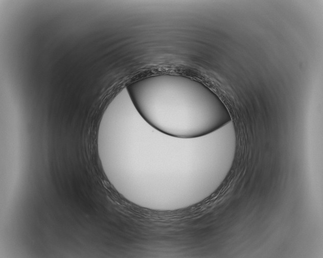 X0000116341060200912011014