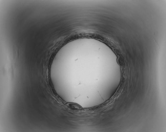 X0000116341061200912011014