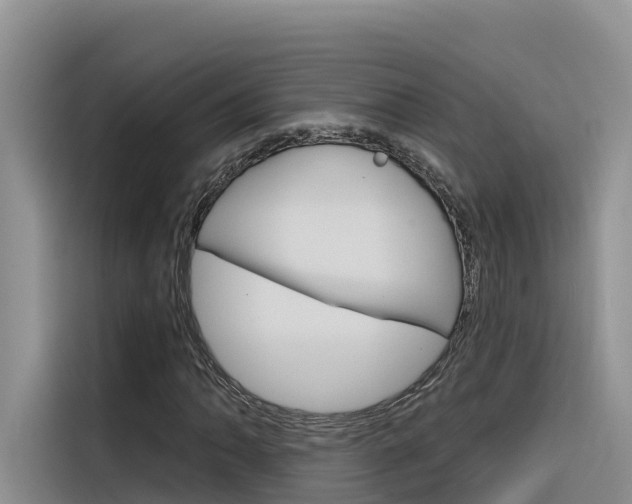 X0000116341062200912011014