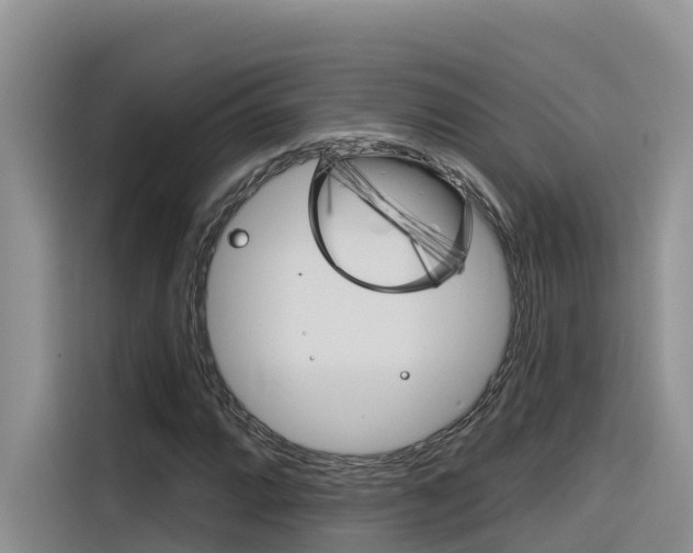 X0000116341064200912011014