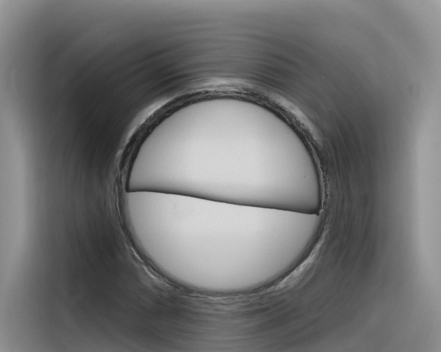 X0000116341066200912011014