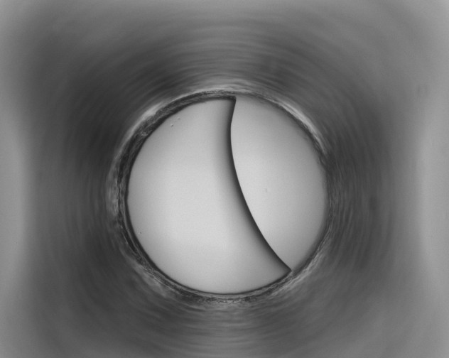 X0000116341067200912011014