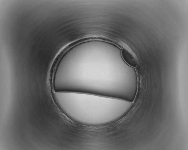 X0000116341068200912011014