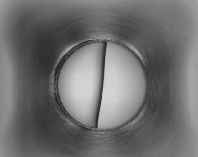 X0000116341071200912011014