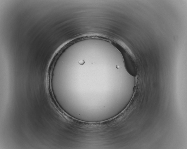 X0000116341076200912011014