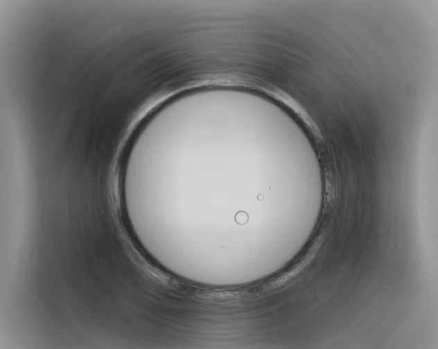 X0000116341078200912011013