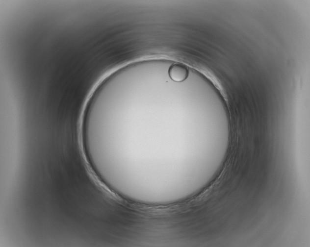 X0000116341080200912011013
