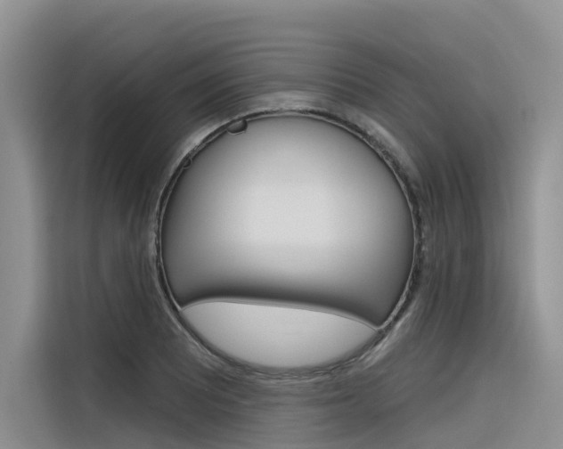 X0000116341081200912011013