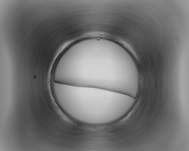 X0000116341082200912011013
